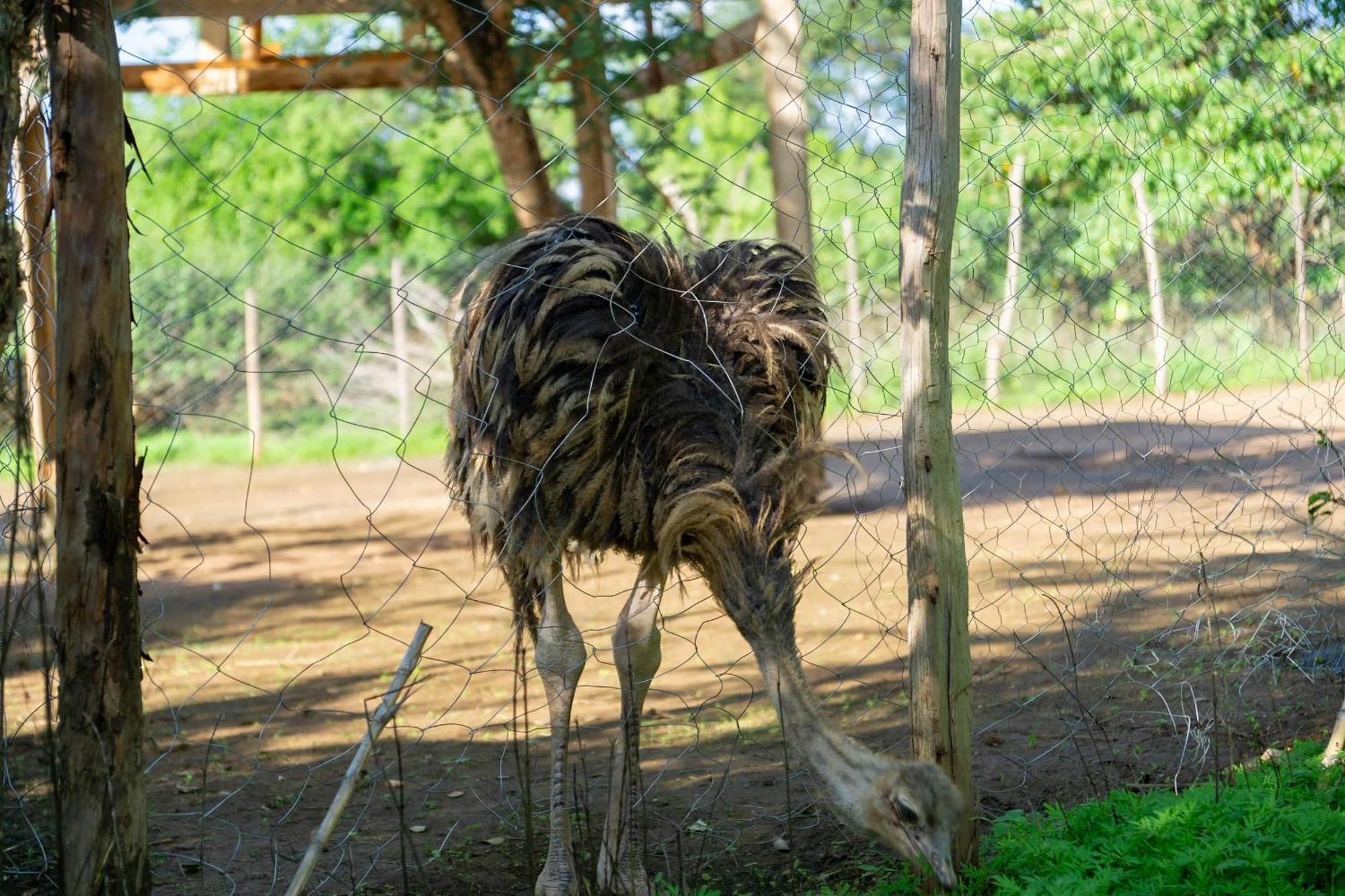 루케냐 겟어웨이 호텔 Athi River 외부 사진